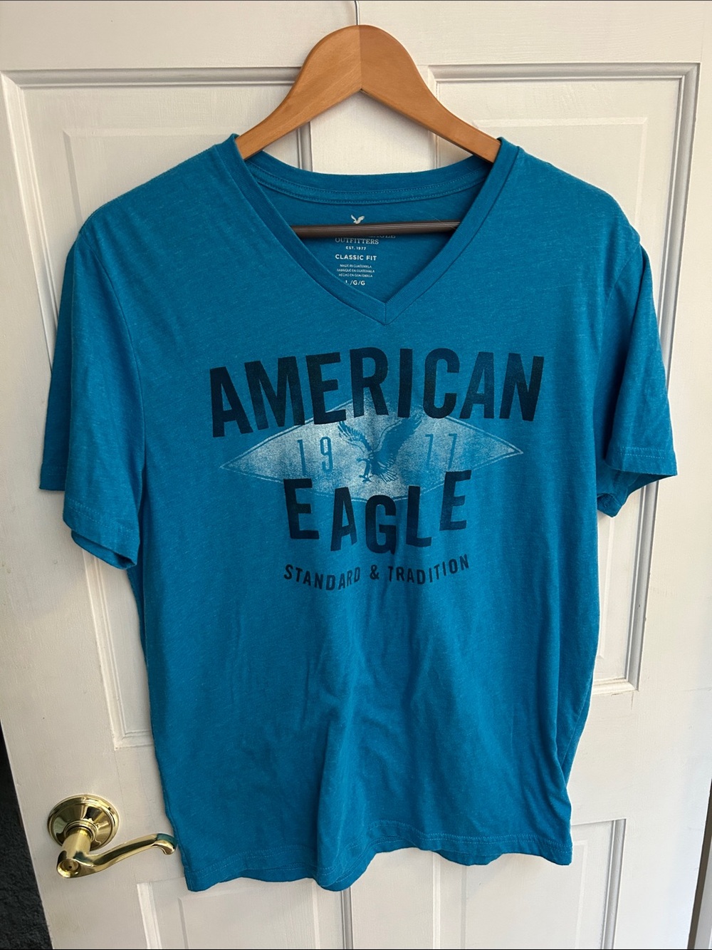 American Eagle Outfitters Teal V-Neck Graphic Tee
